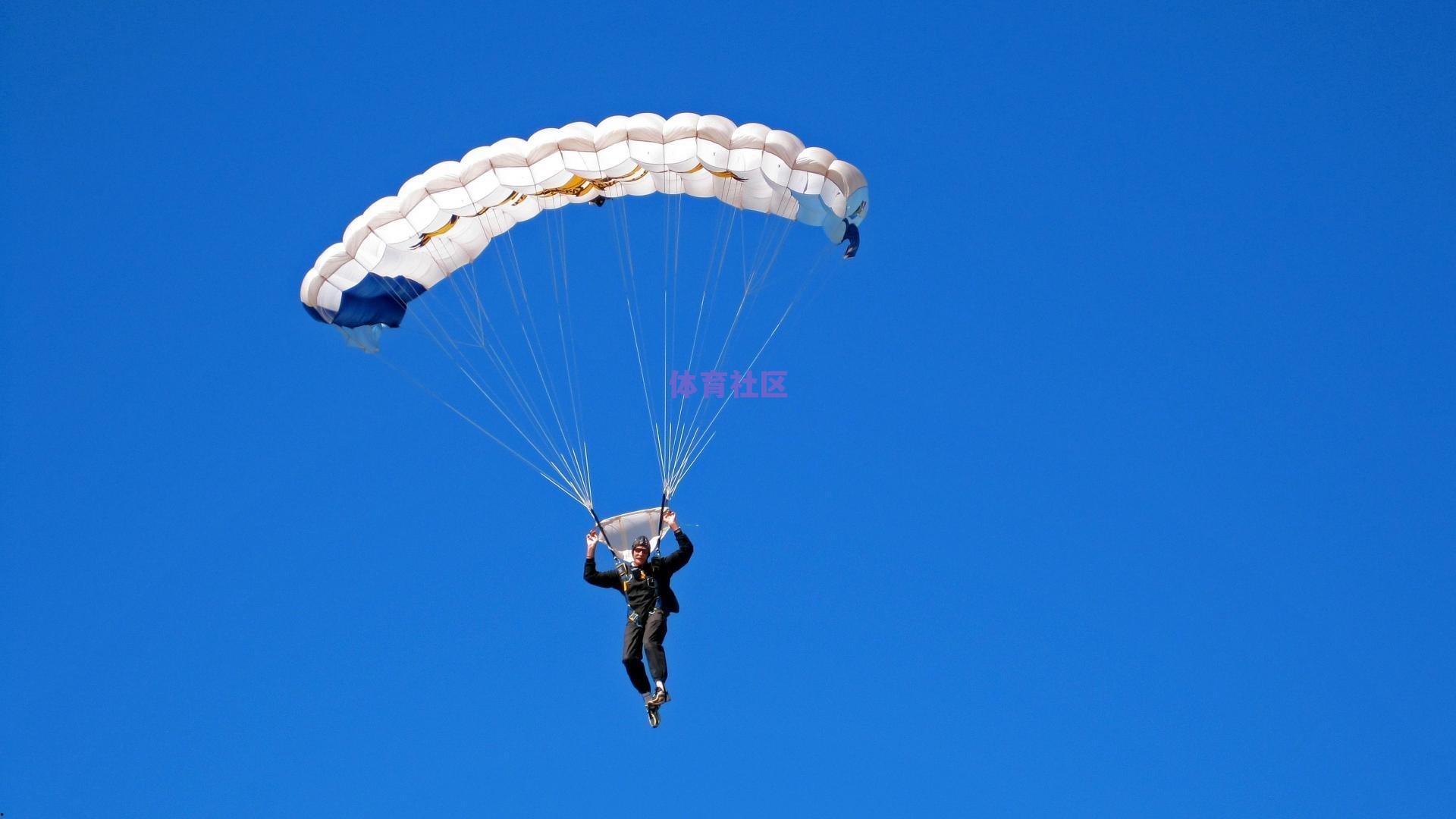 安东尼深情告白，贝蒂斯是唯一心属，漫长回归路见证执着与付出